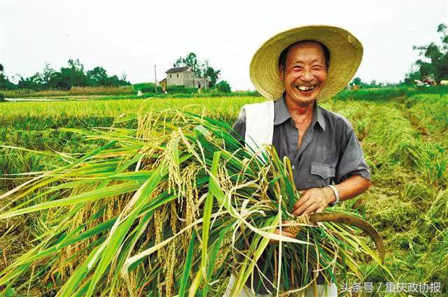 江津的富硒产品(江津富硒食品)-硒宝网