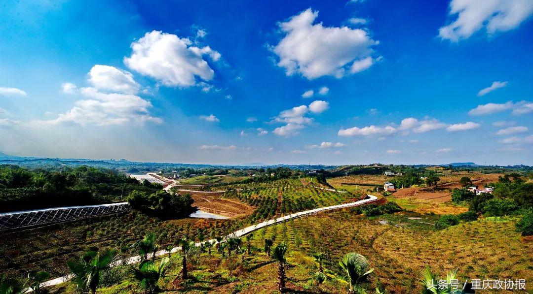 江津的富硒产品(江津富硒食品)-硒宝网