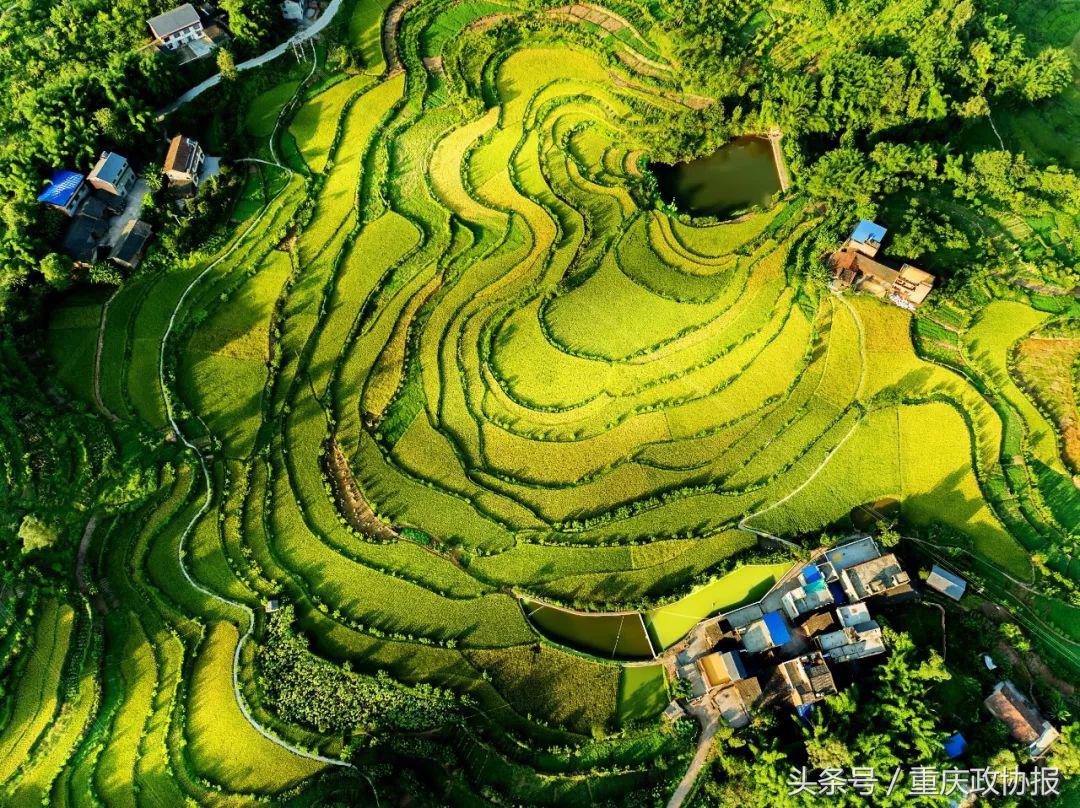 江津的富硒产品(江津富硒食品)-硒宝网