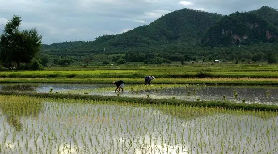 有没有富硒产品（有富硒没产品怎么办）-硒宝网