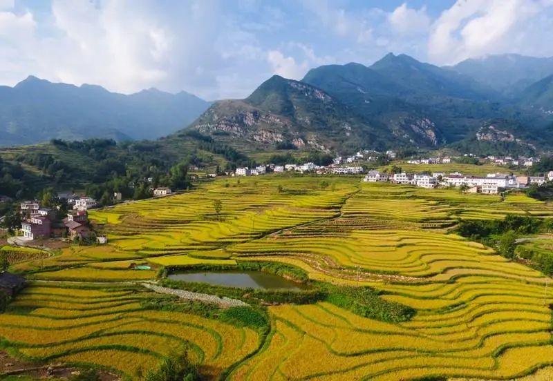 有没有富硒产品（有富硒没产品怎么办）-硒宝网