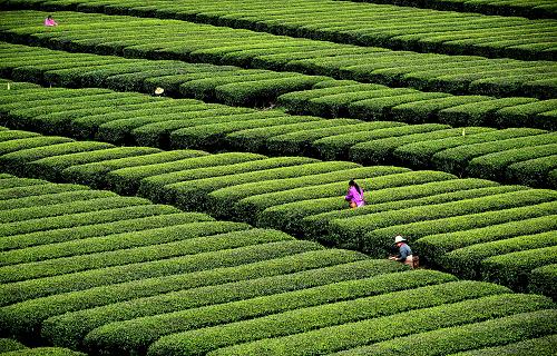 富硒产品的远景(远景富硒产品介绍)-硒宝网