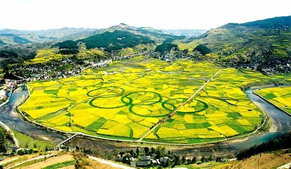 陕西富硒茶产品(陕西茶富硒产品有哪些)-硒宝网