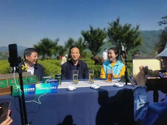 陕西富硒茶产品（陕西富硒茶多少钱一斤）-硒宝网