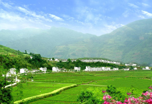 富硒产品的优劣(富硒产品品牌)-硒宝网