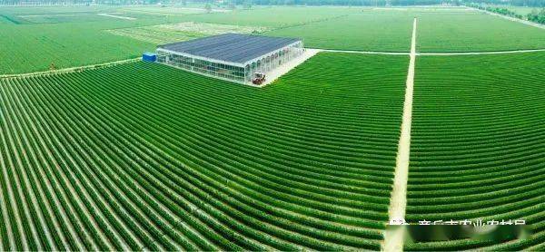 饲料级富硒产品（富硒饲料的生产厂家）-硒宝网