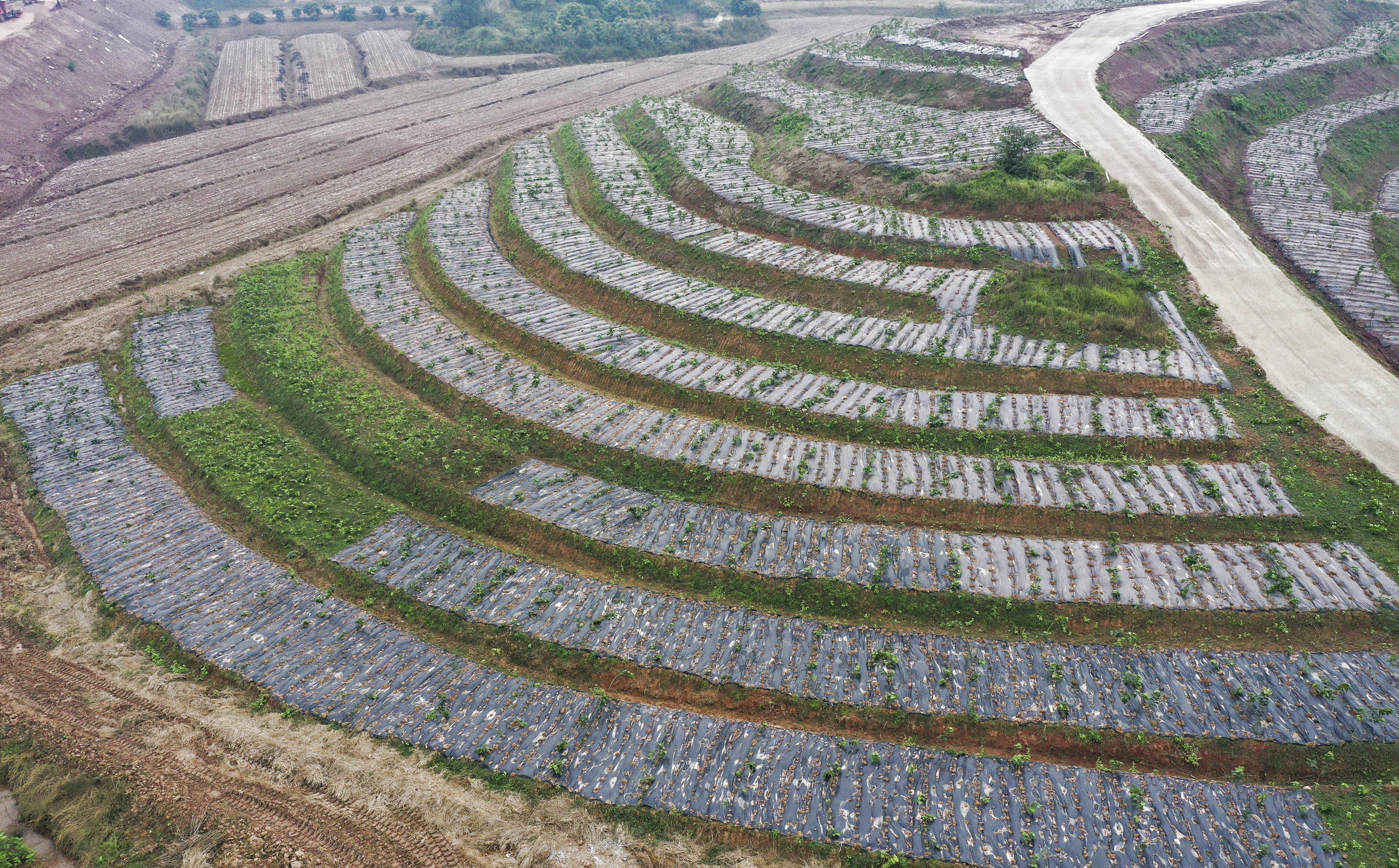 饲料级富硒产品（富硒饲料的生产厂家）-硒宝网