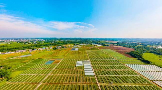 富硒农产品现状(富硒农产品产业链)-硒宝网