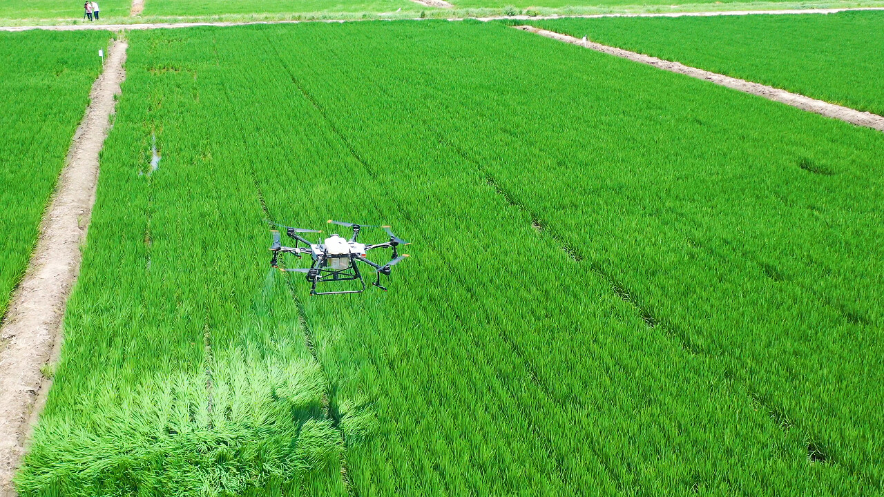 富硒农产品现状(富硒农产品产业链)-硒宝网