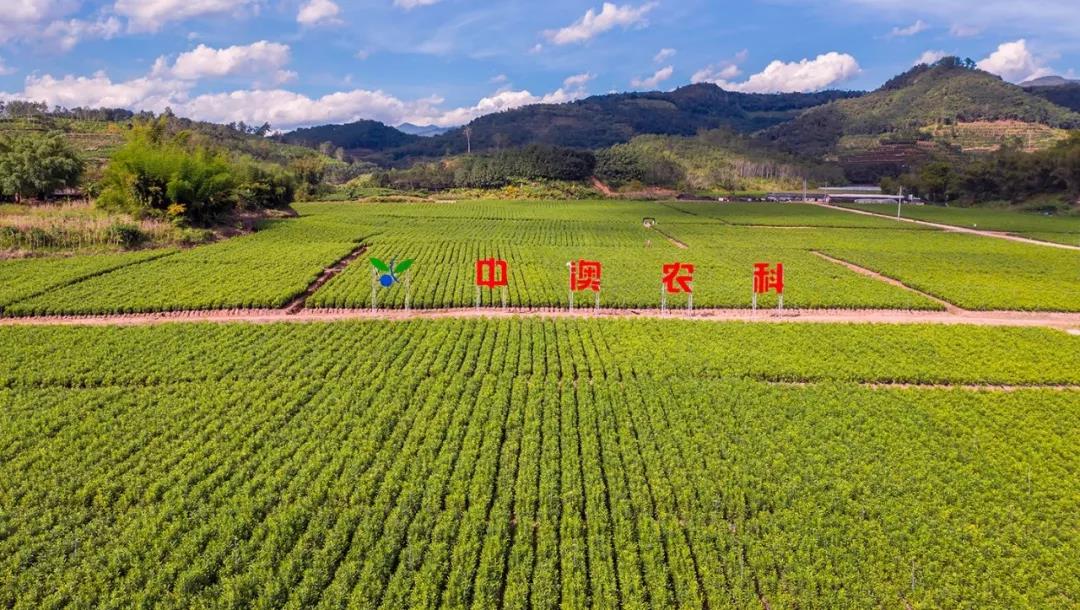 宁晋富硒农产品（富硒农场产品）-硒宝网