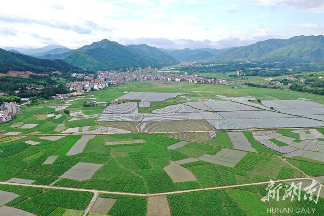 宁晋富硒农产品（富硒农场产品）-硒宝网