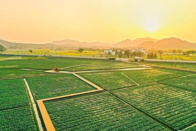 宁晋富硒农产品（富硒农场产品）-硒宝网