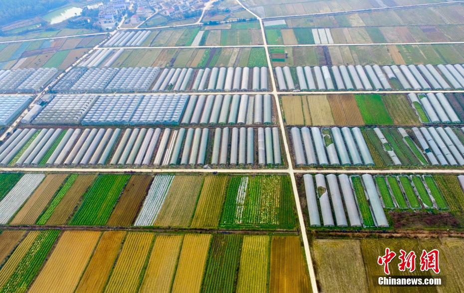 宁晋富硒农产品（富硒农场产品）-硒宝网