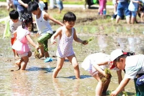 桃源市富硒产品（桃源富硒农产品专卖店）-硒宝网