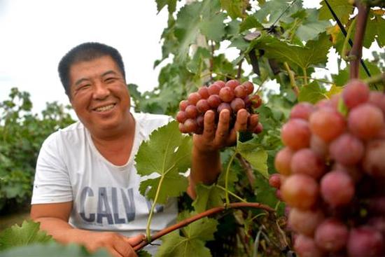 桃源市富硒产品（桃源富硒农产品专卖店）-硒宝网