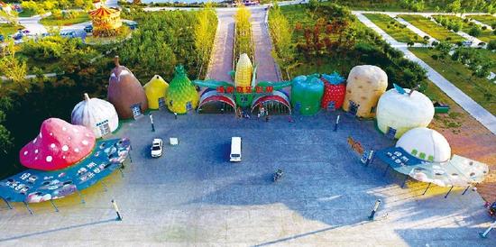 桃源市富硒产品（桃源富硒农产品专卖店）-硒宝网