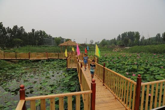 桃源市富硒产品（桃源富硒农产品专卖店）-硒宝网