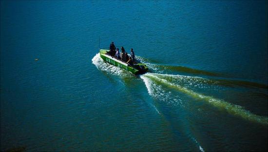 桃源市富硒产品（桃源富硒农产品专卖店）-硒宝网