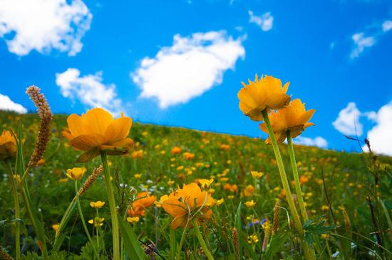 桃源市富硒产品（桃源富硒农产品专卖店）-硒宝网