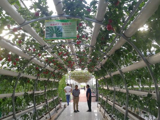 桃源市富硒产品（桃源富硒农产品专卖店）-硒宝网