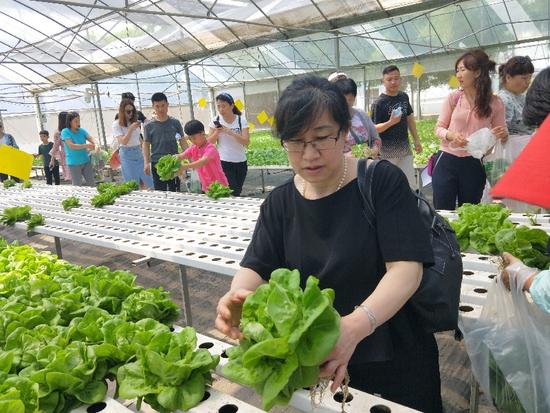 桃源市富硒产品（桃源富硒农产品专卖店）-硒宝网