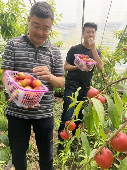 桃源市富硒产品（桃源富硒农产品专卖店）-硒宝网