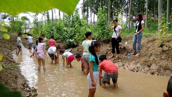 桃源市富硒产品（桃源富硒农产品专卖店）-硒宝网