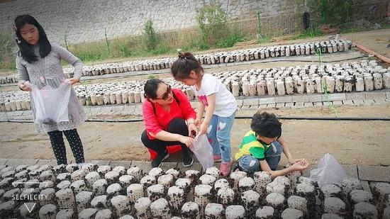 桃源市富硒产品（桃源富硒农产品专卖店）-硒宝网