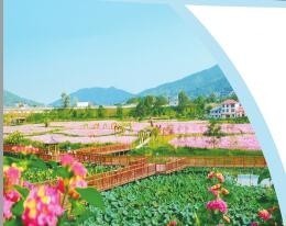 遂宁富硒农产品(名胜富硒农庄)-硒宝网