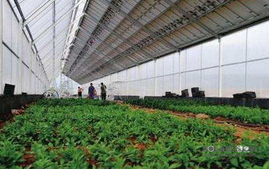 保利富硒农产品(保利农富硒产品怎么样)-硒宝网