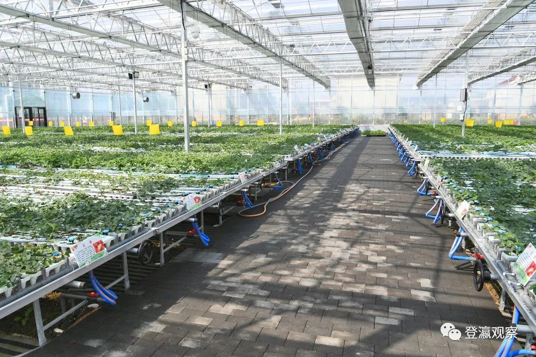 保利富硒农产品(保利农富硒产品怎么样)-硒宝网