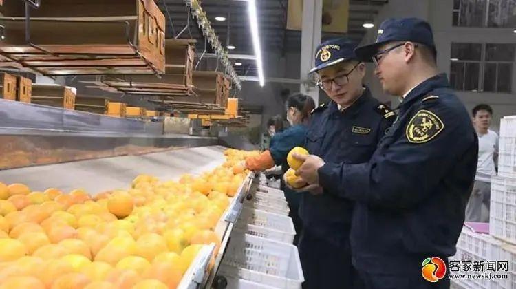 富硒农产品标牌(gh/t1135富硒农产品)-硒宝网