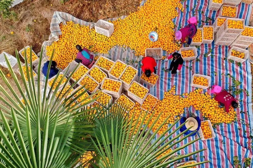 富硒农产品标牌(gh/t1135富硒农产品)-硒宝网