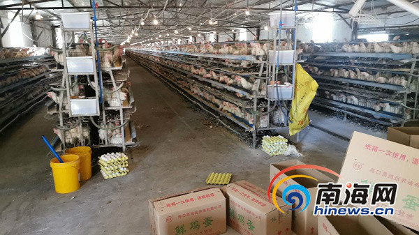 富硒蛋产品规格（富硒蛋和普通蛋的区别）-硒宝网