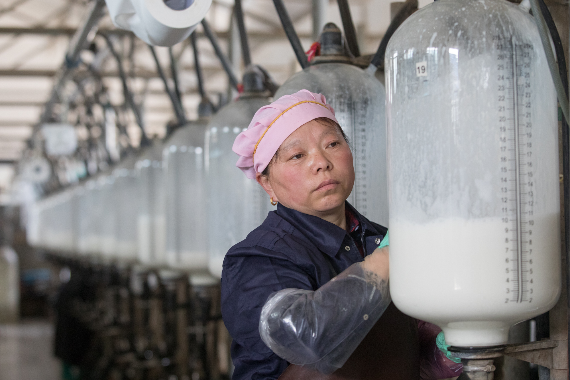 富硒农产品龙头（富硒农业）-硒宝网