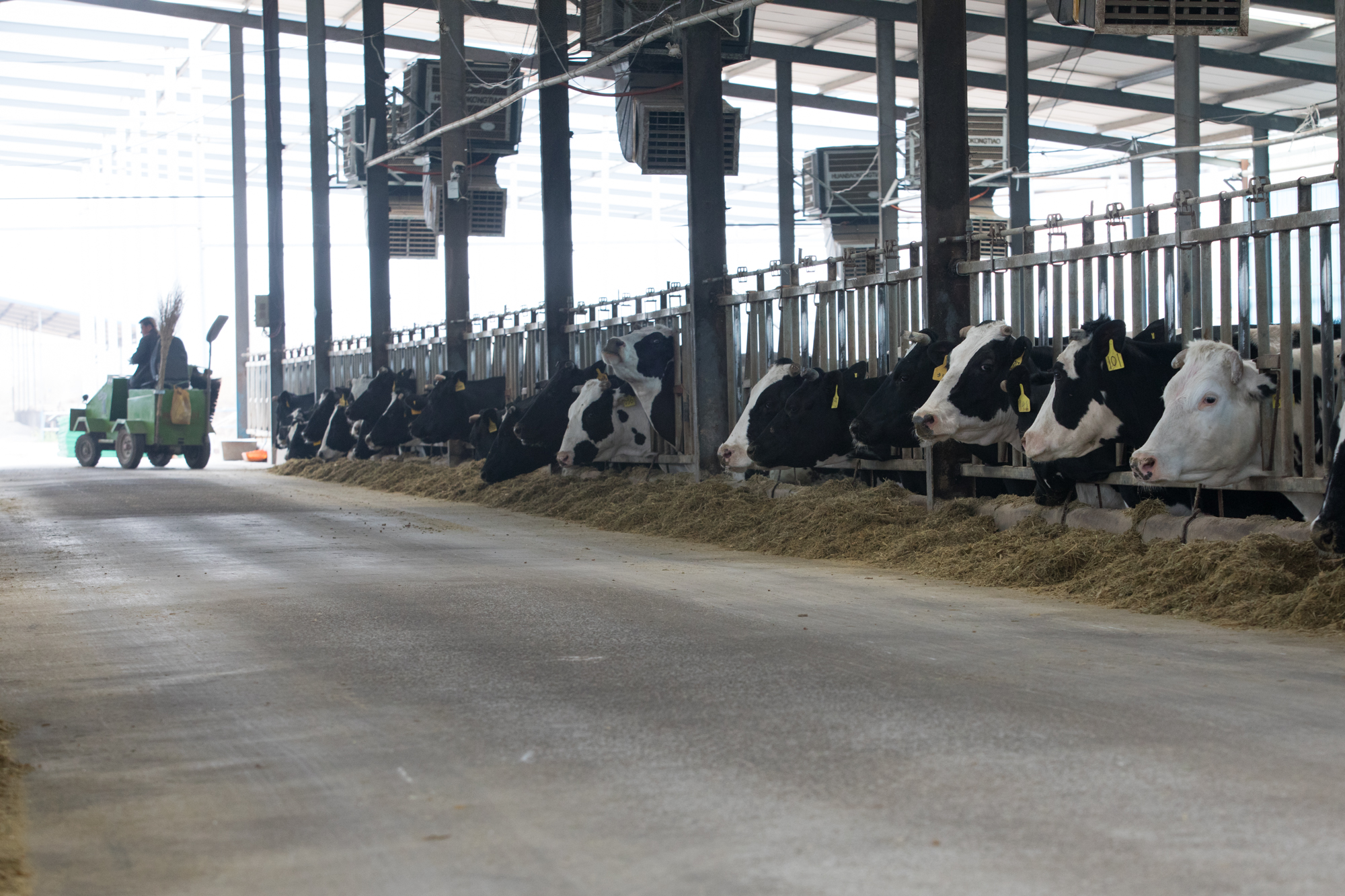 富硒农产品龙头（富硒农业）-硒宝网