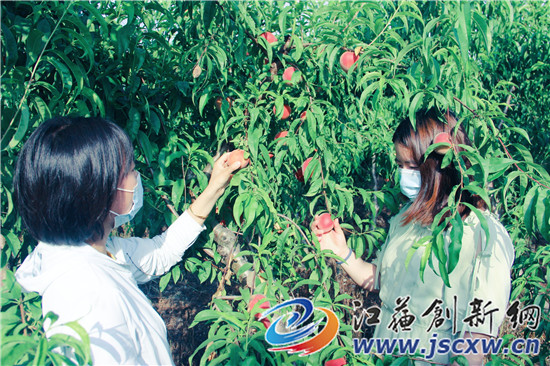 丹阳富硒农产品（富硒鸡蛋厂家）-硒宝网