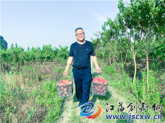 丹阳富硒农产品（富硒鸡蛋厂家）-硒宝网