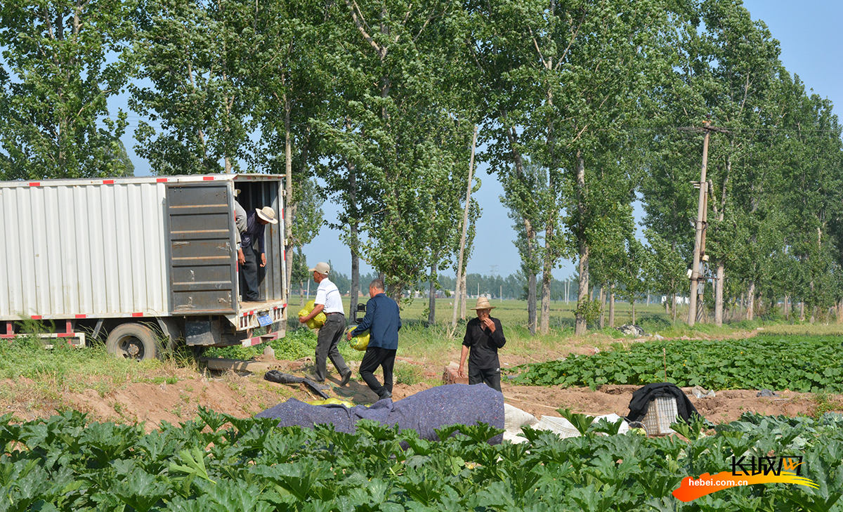 清河富硒农产品（富硒产品专卖店）-硒宝网