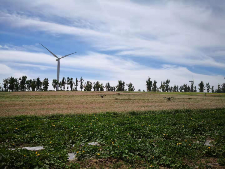 富硒农产品致富(富硒农业)-硒宝网