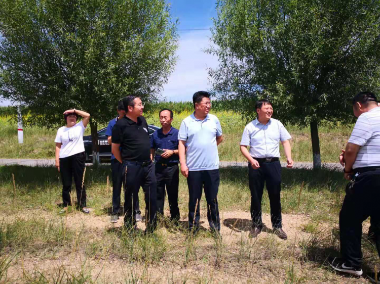 富硒农产品致富(富硒农业)-硒宝网