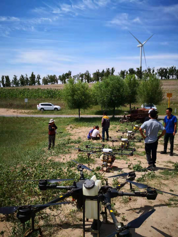 富硒农产品致富(富硒农业)-硒宝网