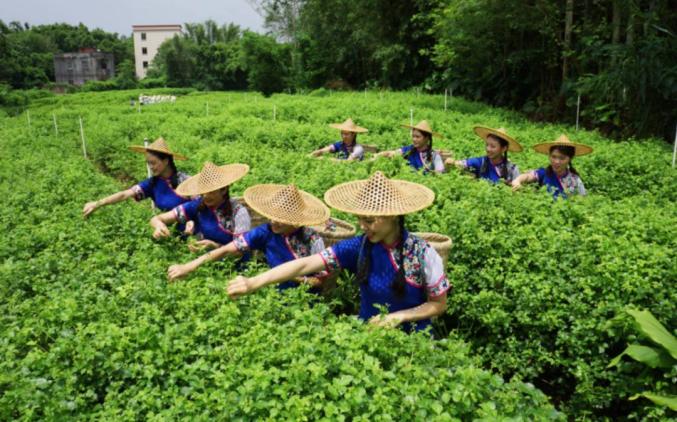 富硒农产品诗歌（富硒农业口号揭晓）-硒宝网