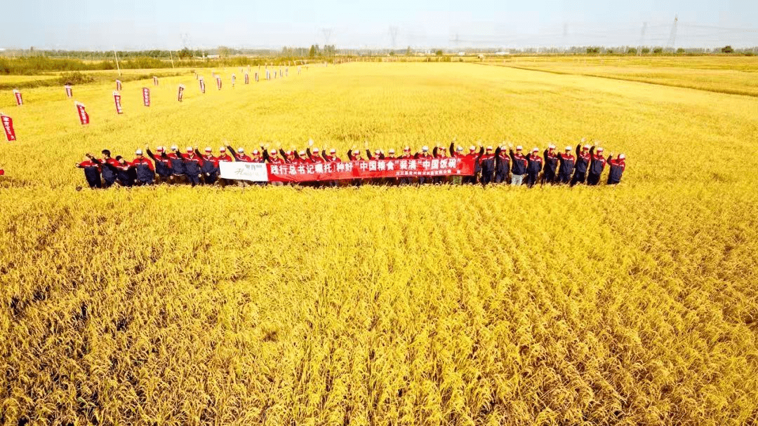 农产品富硒意义(什么叫富硒农产品)-硒宝网