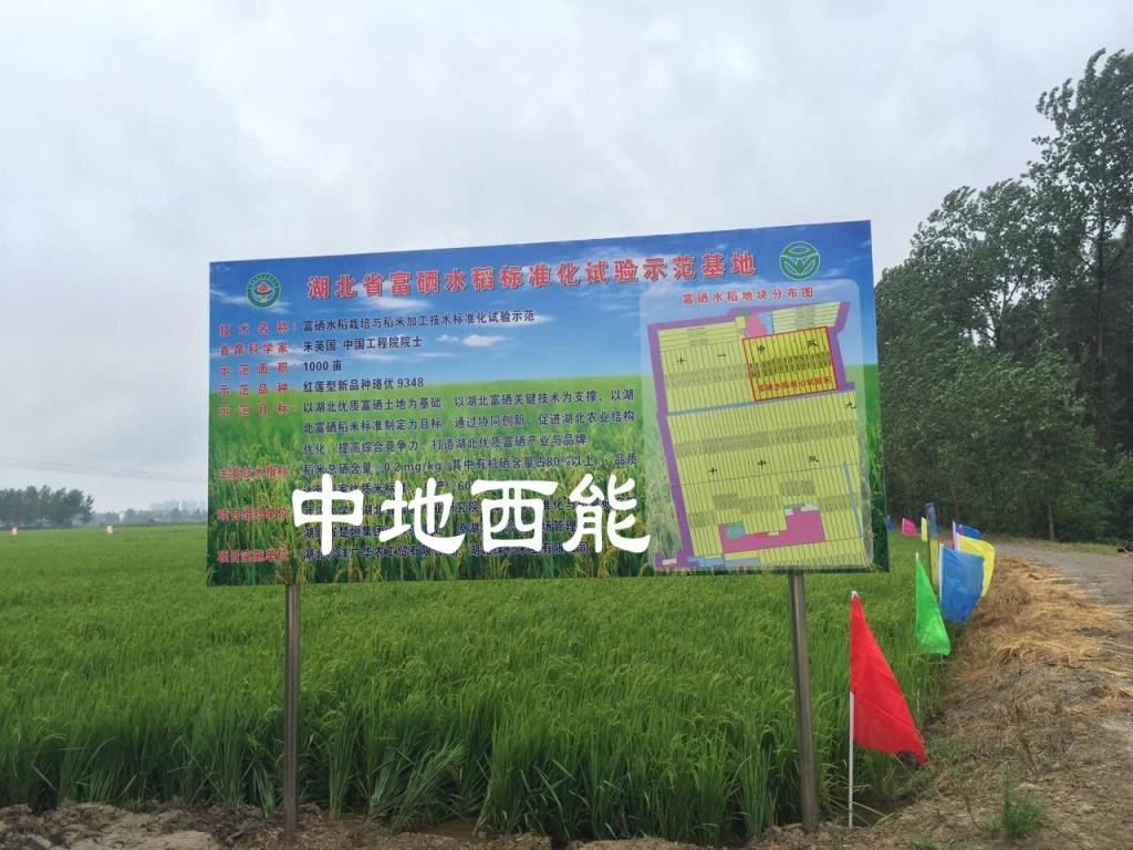 农产品富硒意义(什么叫富硒农产品)-硒宝网