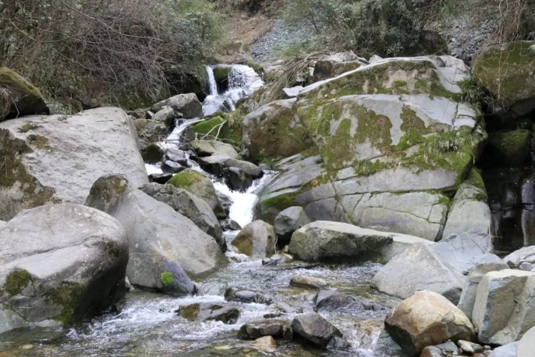 富硒产品好销吗（富硒农产品品牌）-硒宝网