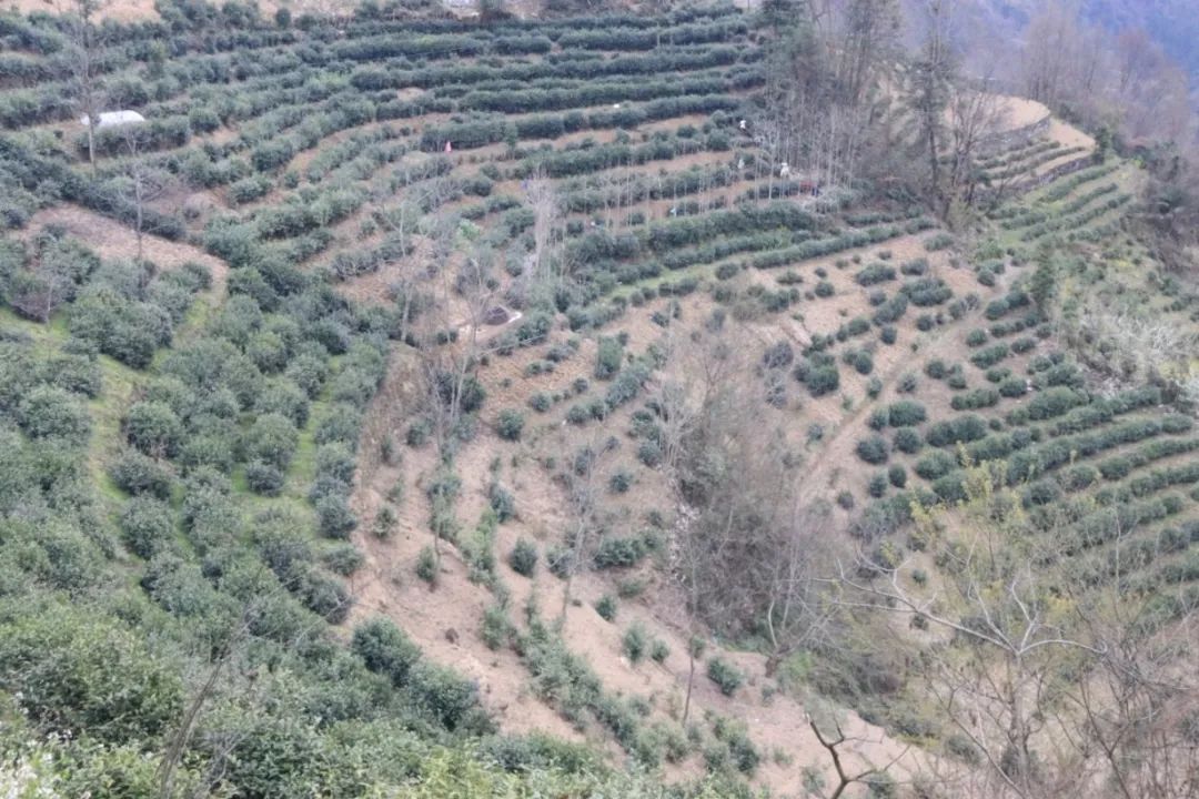 富硒产品好销吗（富硒农产品品牌）-硒宝网