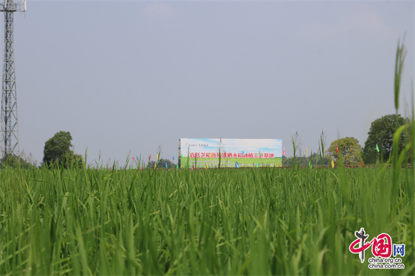 有机富硒农产品(农用富硒)-硒宝网