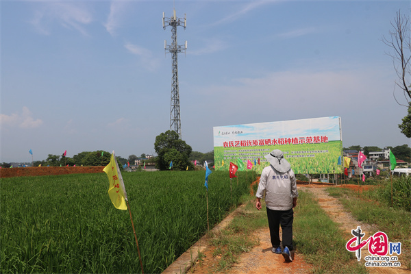 有机富硒农产品(农用富硒)-硒宝网