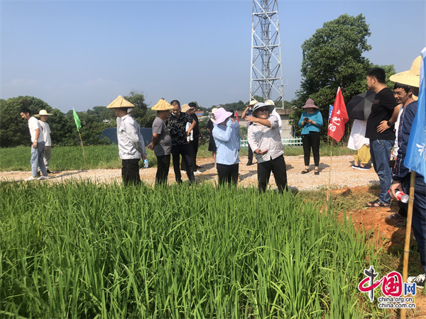 有机富硒农产品(农用富硒)-硒宝网